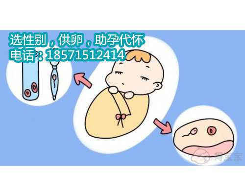 南京代孕供卵机构,全国首例试管婴儿在哪里